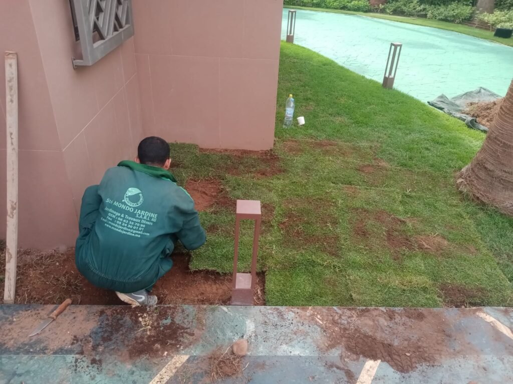 WhatsApp Image 2025 11 28 At 10.22.19 10 1024x768