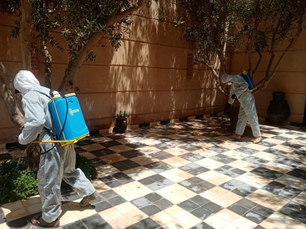 WhatsApp Image 2025 11 28 At 10.22.19 14 1024x768