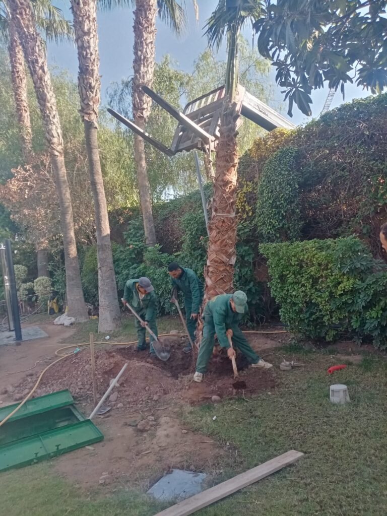 WhatsApp Image 2025 11 28 At 10.22.19 20 768x1024