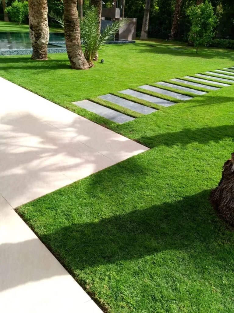 whatsapp image 2025 12 12 at 16.31.25