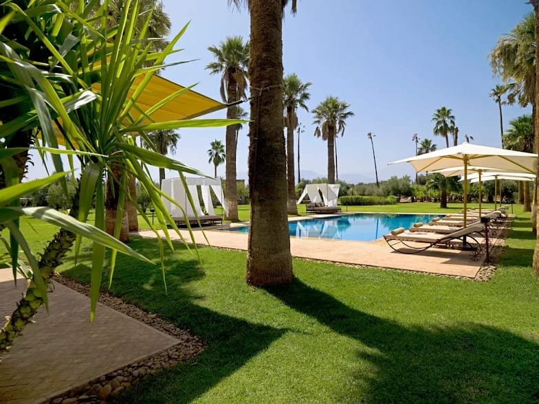 whatsapp image 2025 12 12 at 16.31.38