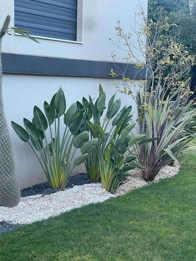 whatsapp image 2025 12 12 at 16.31.39