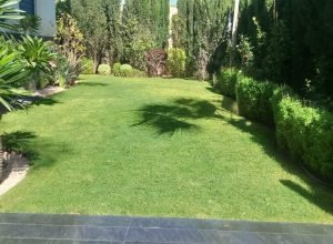 WhatsApp Image 2025-11-28 at 10.22.19 (1)