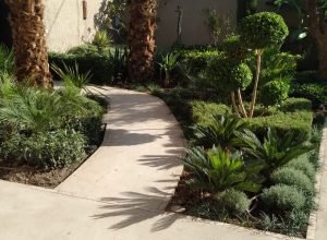 WhatsApp Image 2025-11-28 at 10.22.19 (12)