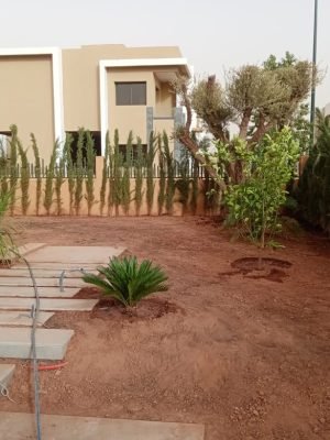 WhatsApp Image 2025-11-28 at 10.22.19 (13)